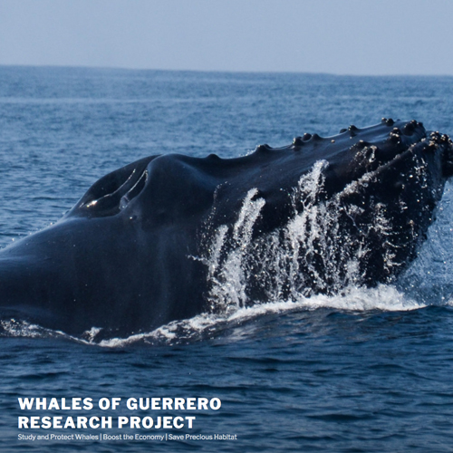 Projektpartner Projektpartner