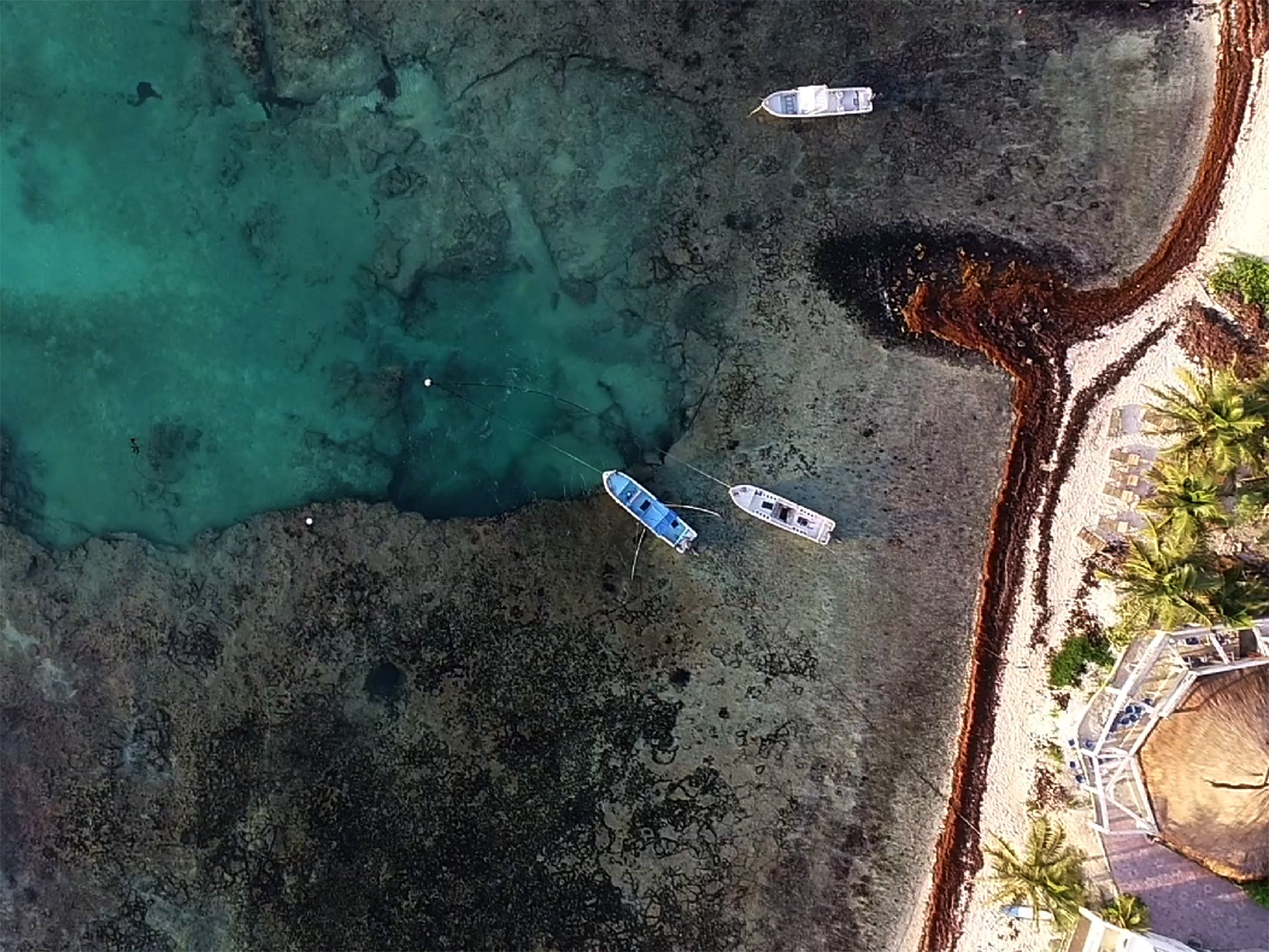 Mexico's water Mexico's water