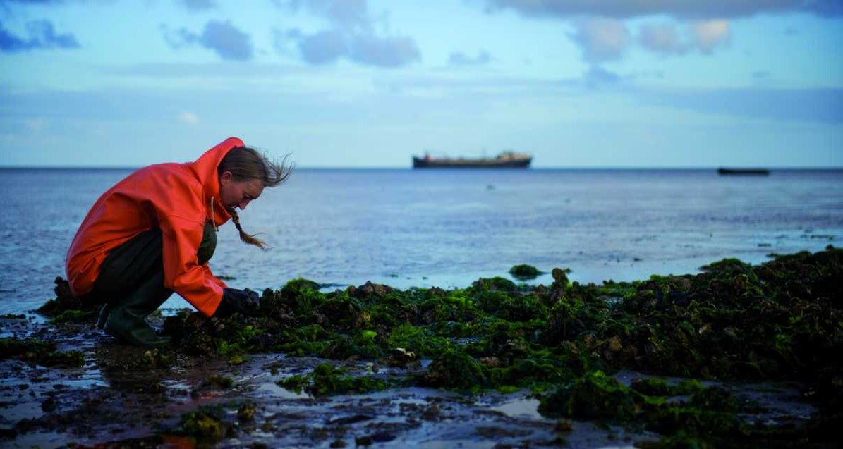 Slow Fish Netherlands Slow Fish Netherlands