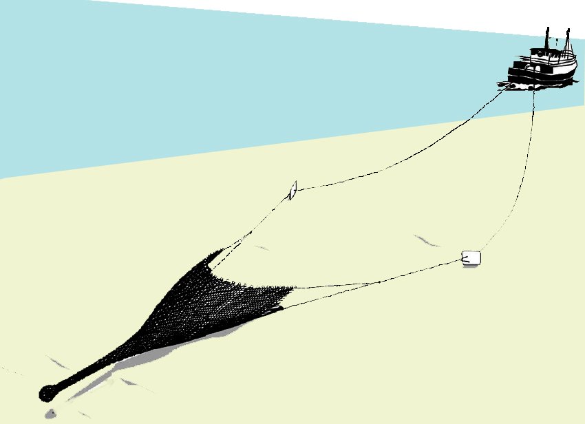 Demersal trawling Demersal trawling