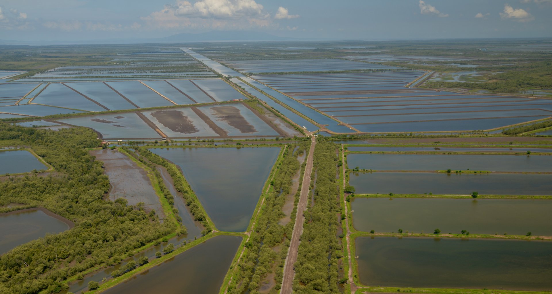 En el Golfo de Fonseca, en la costa del Pacífico de Honduras, grandes zonas de manglares naturales se han convertido en criaderos de camarones En el Golfo de Fonseca, en la costa del Pacífico de Honduras, grandes zonas de manglares naturales se han convertido en criaderos de camarones