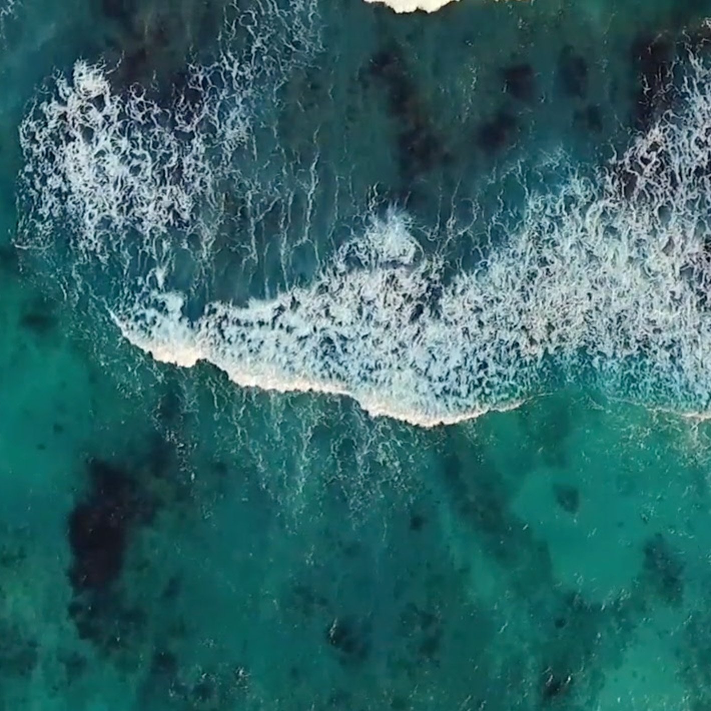 Vimeo link Vimeo link