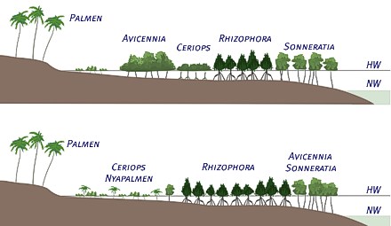 oben: Ostafrika, unten Nordaustralien oben: Ostafrika, unten Nordaustralien