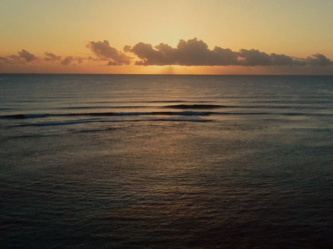 For the ocean For the ocean