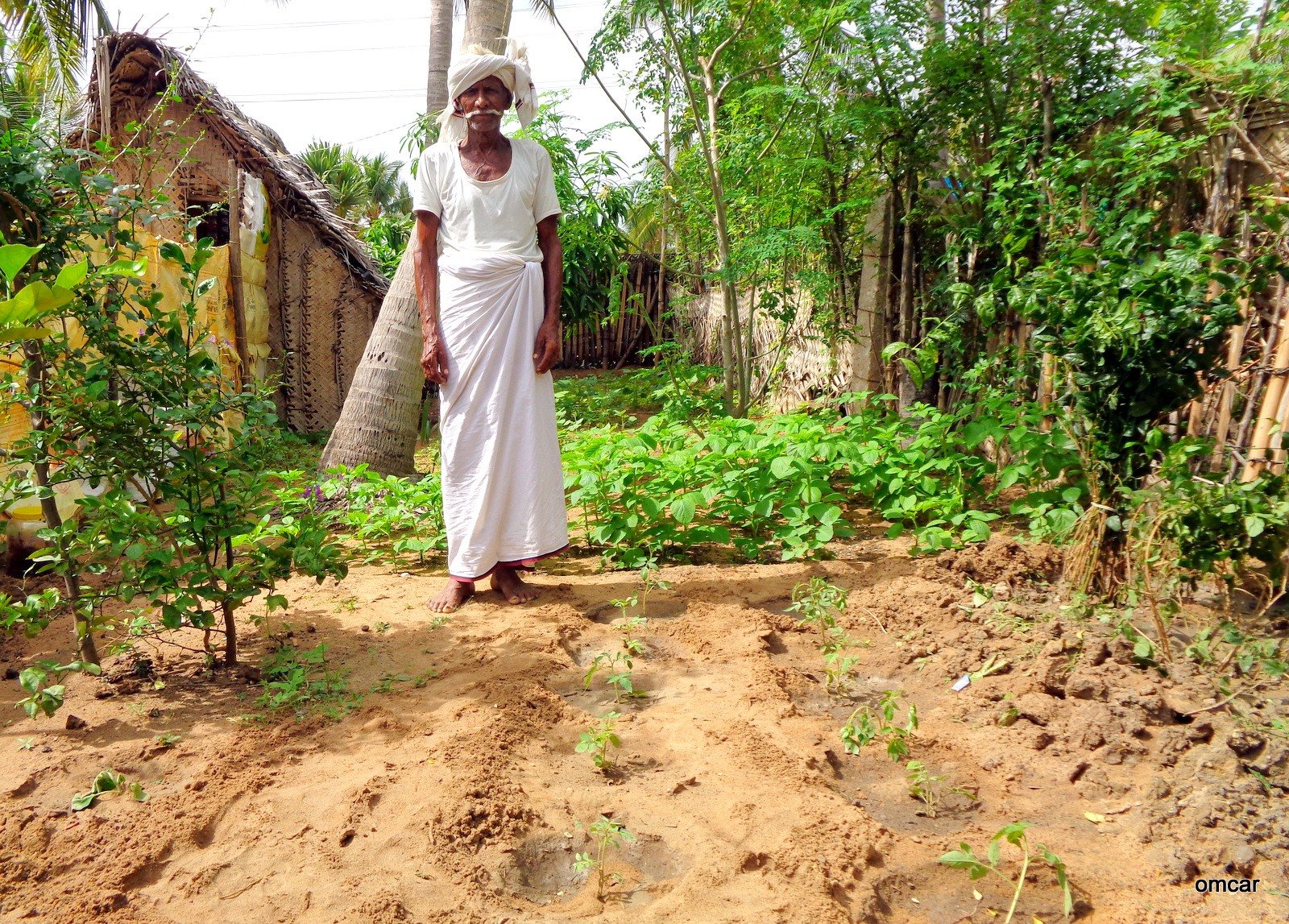 First steps in organic farming First steps in organic farming