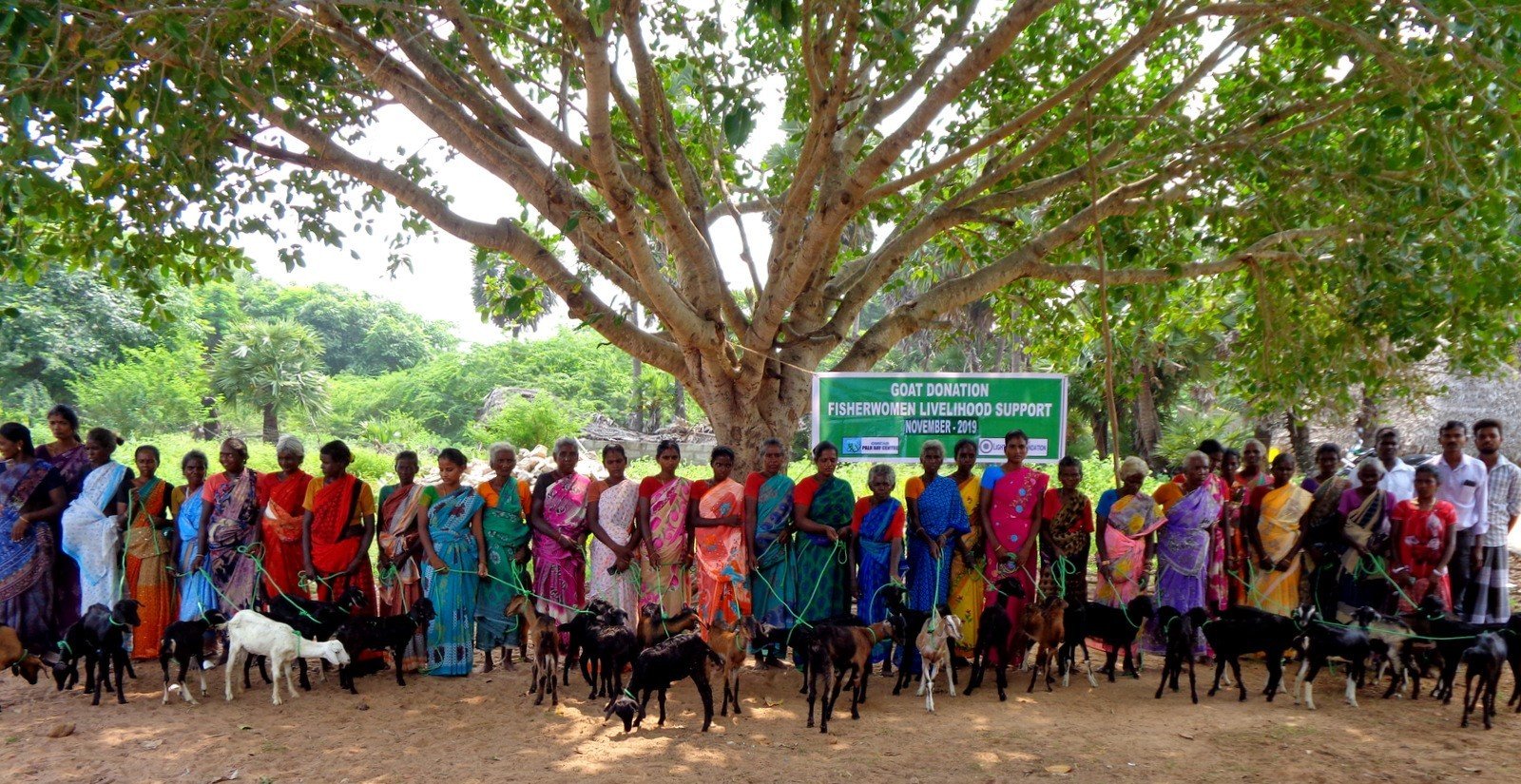 Goat donation Goat donation