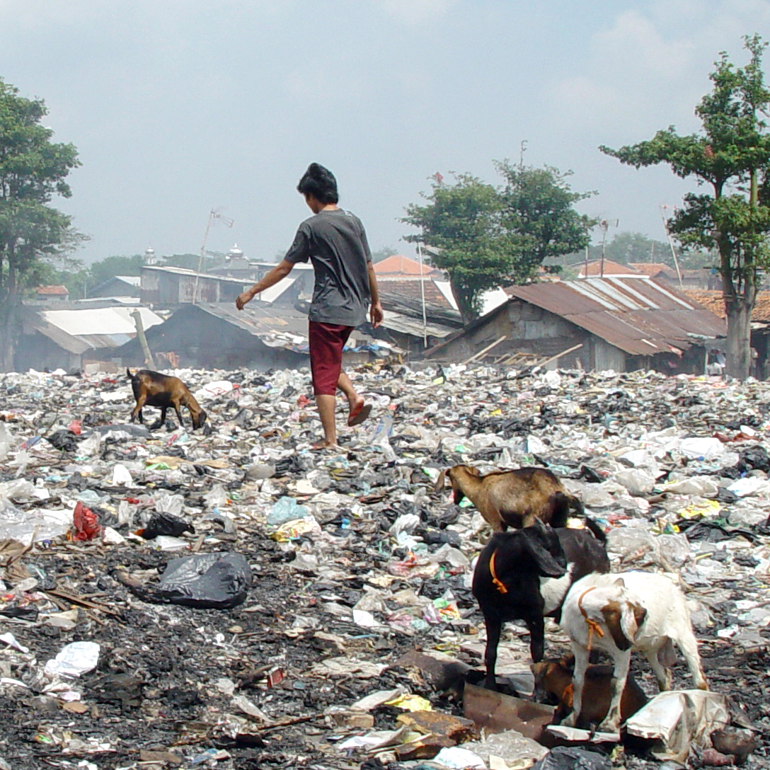 Indonesia: El monstruo verde de Yakarta