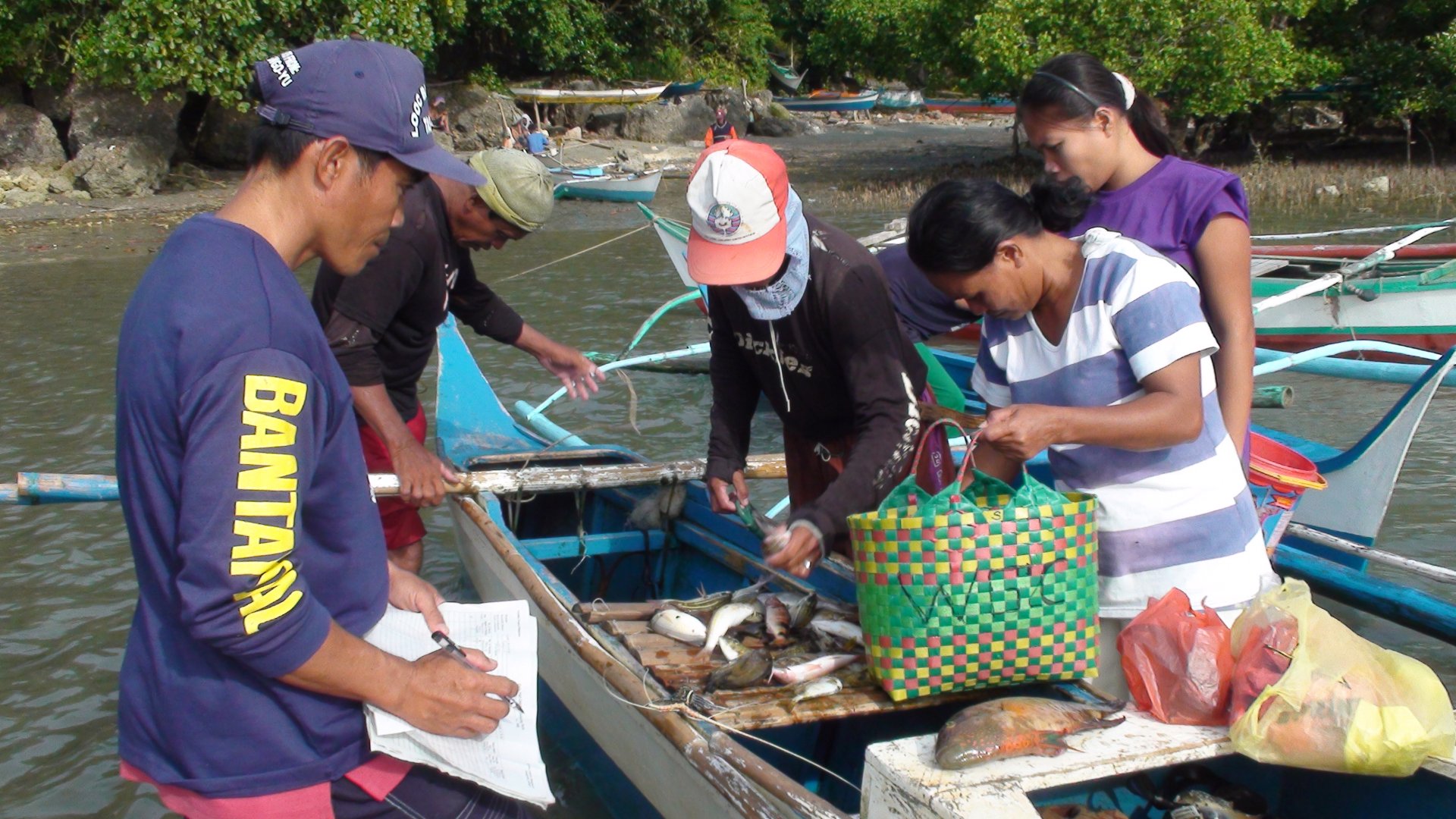 Los datos de capturas se recogen directamente en la barca. Los datos de capturas se recogen directamente en la barca.